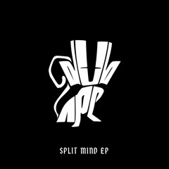 The Lesser Key Of Solomon - DubApe (Out now on Bandcamp)