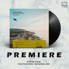 PREMIERE: Analog Jungs - Fluctuation (Original Mix) [MANGO ALLEY]