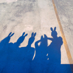 hypotheticals (cover)