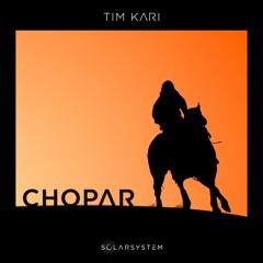 Tim Kari - Ruin