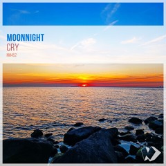 Copy of Moonnight - Cry (Original Mix)