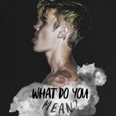 Justin Bieber - What do you mean (wilfred remix ft Lyka)