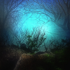 Tales From The North @ Psyday