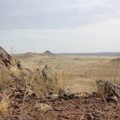 Desert Sand