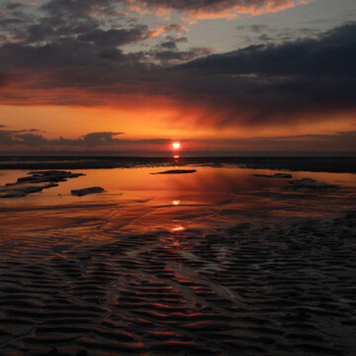 Autonomic Sunsets