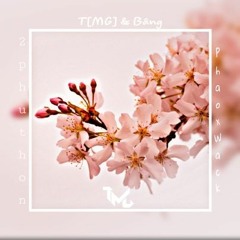 2 Phút Hơn - Pháo x Wack 🌸 [T[MG] x Bâng Remix]