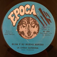 La Chola Caderona - Bush Y Su Nuevo Sonido