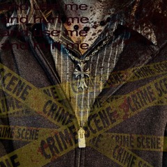 el sonata (wifiskeleton cover)