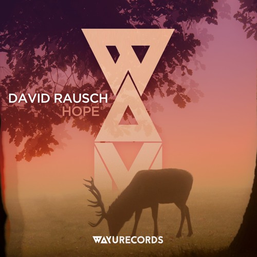 Premiere: David Rausch - Friend (Sebastian Dali Remix) [WAYU Records]