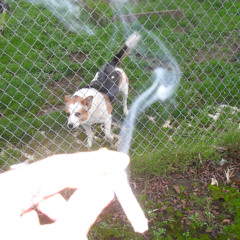 01 genesis x cinderella 99 mix