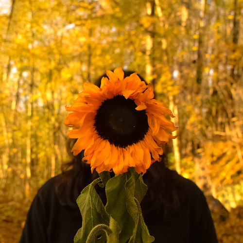 Stream Bougainvillea Part 1 By Solaris Listen Online For Free On