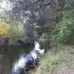 shit! shit! shit!-станция лето