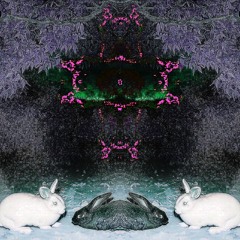 Hypnotic (slattshark)