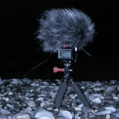 Black Sea field recording