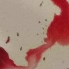 waiting for someone new to break my heart pt. 1 (full stream)