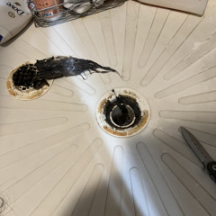 Lot of Lizards (2014 Archive)