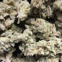 Wasting Resources (prod. protagonist)