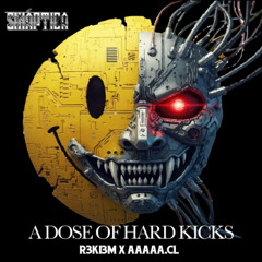 A DOSE OF HARD KICKS - R3KI3M X AAAAA.CL