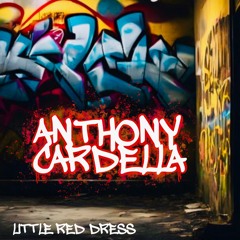 LITTLE RED DRESS