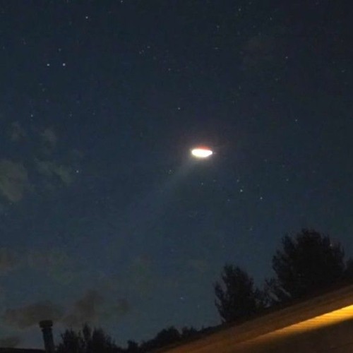 Police Alien Scene [Loop]