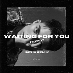 Waiting For You (Pizuh Remix) - Mono
