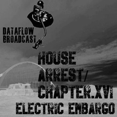 Electric Embargo - House Arrest-Chapter XVI (17.06.20)