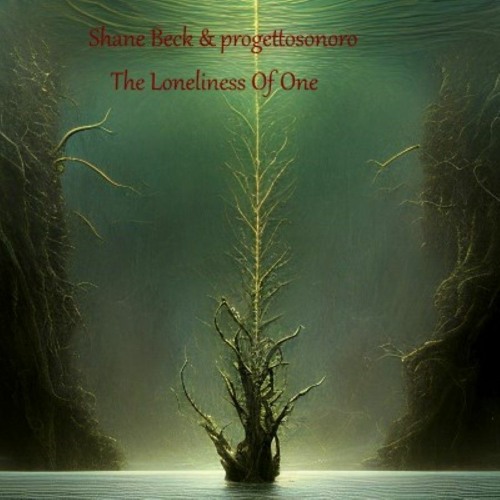Shane Beck & progettosonoro - The Loneliness Of One