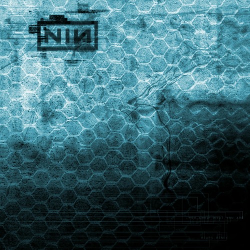 Stream Nine Inch Nails - You Know What You Are? (Reaps Outtake) by Reaps |  Listen online for free on SoundCloud