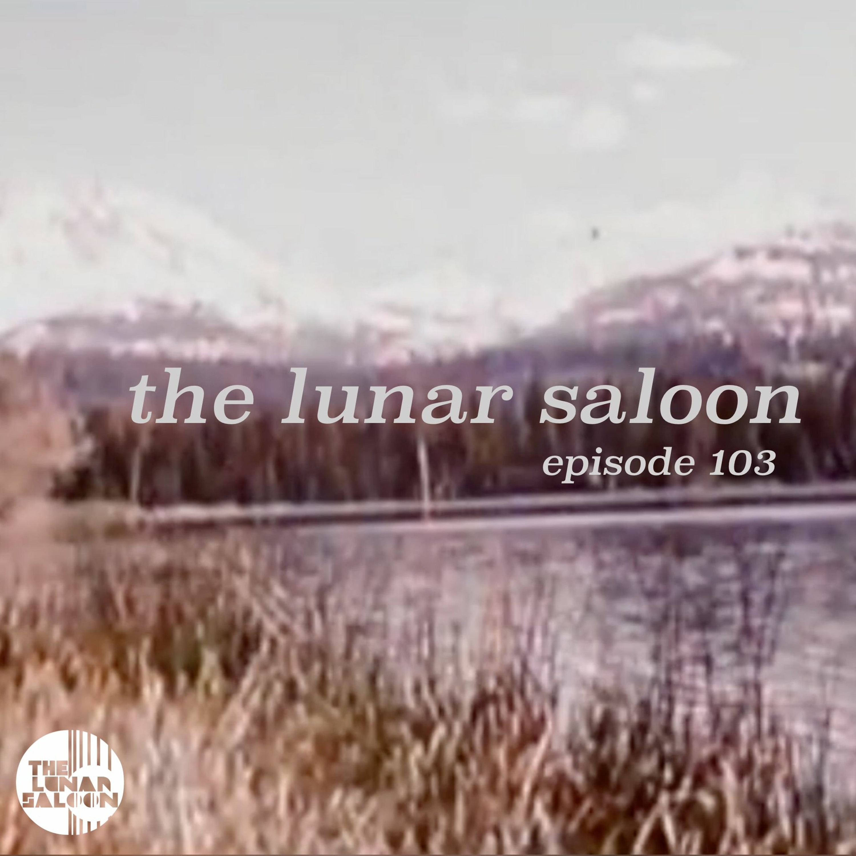 The Lunar Saloon