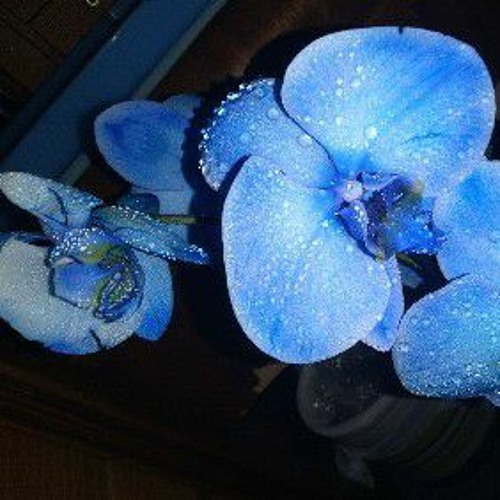 Calling again - xDirtyD3x -FT.Yungwhite