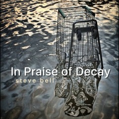 IN PRAISE OF DECAY