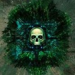 OLD SKULL