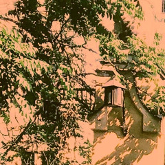 discount -GreenMorning