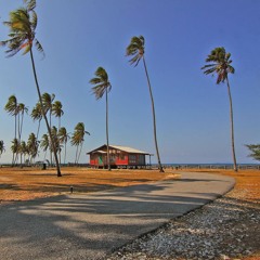 Camino De La Playa