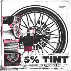 5% TINT