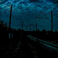 Posthuman