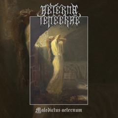 07 - Fleshrequiem 69 (Belphegor Cover) (Bonus track).mp3