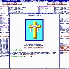 Risen (Terry A. Davis TempleOS cover)