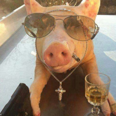 XIVIVIDE *(4changang)