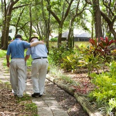 Coldplay - When I Need A Friend (cover)