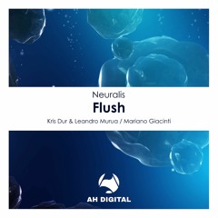 Neuralis - Flush (Kris Dur, Leandro Murua Remix)