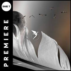 PREMIERE : Far Distance, Atóm (IE) - Harmonious [Astral Records]