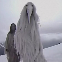 when your lost with the lazer dim erosion bird