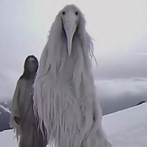 when your lost with the lazer dim erosion bird