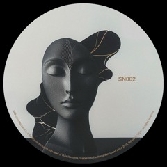 PREMIERE: Chiodan - Crafted Messages [SN002]