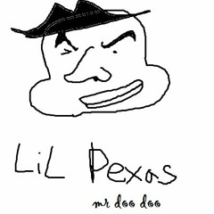 MR DOODOO - LIL PEXAS