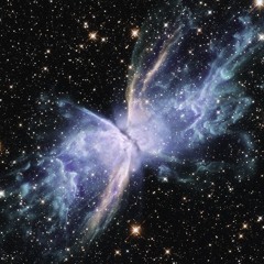 Axterm III