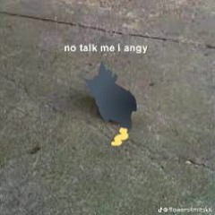 Ava's Top Picks August 2023