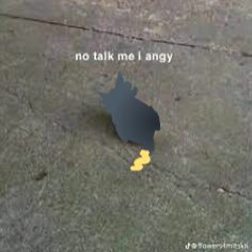 Ava's Top Picks August 2023