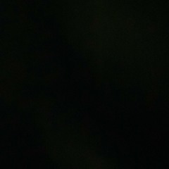 Spiracular {Cashiguapo}